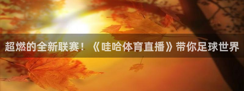 乐球直播免费看nba：超燃的全新联赛！《哇哈体育直播》带你足球世界
