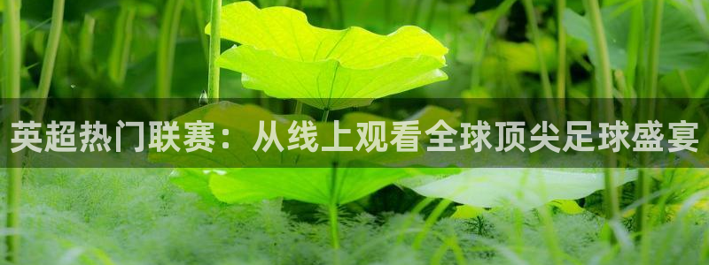 乐球免费体育直播在线看：英超热门联赛：从线上观看全球顶尖足球盛宴