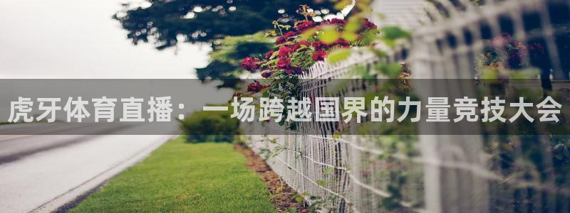乐球无插件免费直播：虎牙体育直播：一场跨越国界的力量竞技大会