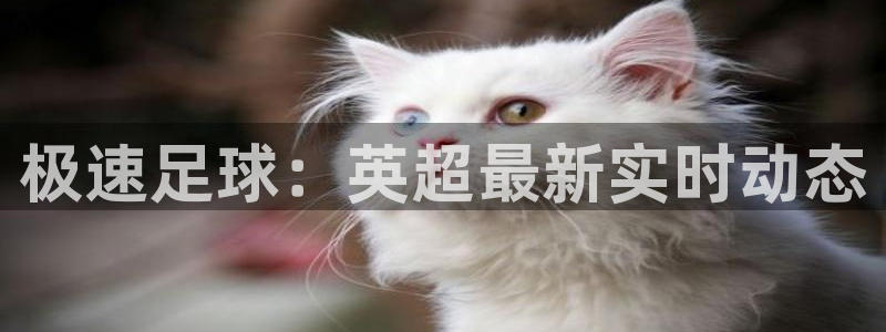 乐球直播tv：极速足球：英超最新实时动态