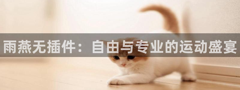 乐球体育直播nba：雨燕无插件：自由与专业的运动盛宴