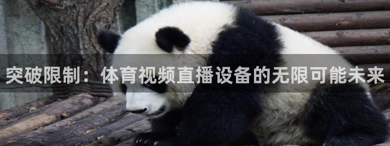 乐球直播官网：突破限制：体育视频直播设备的无限可能未来