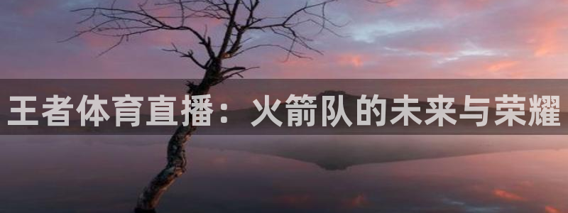 nba免费直播在线直播乐球：王者体育直播：火箭队的未来与荣耀