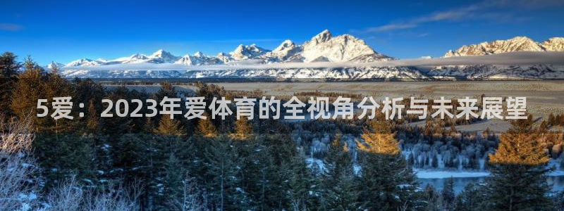 乐球体育在线直播免费观看：5爱：2023年爱体育的全视角分析与未来展望
