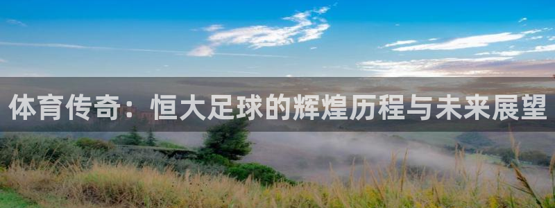 乐球吧高清直播：体育传奇：恒大足球的辉煌历程与未来展望