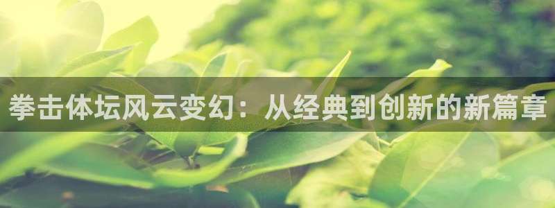 乐球jrs直播nba：拳击体坛风云变幻：从经典到创新的新篇章