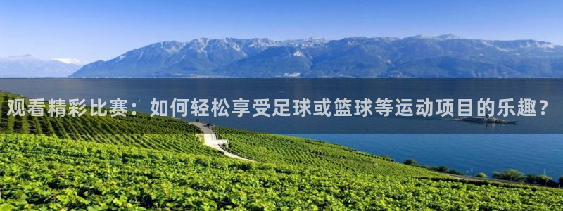 乐球免费直播在线观看：观看精彩比赛：如何轻松享受足球或篮球等运动项目的乐趣？
